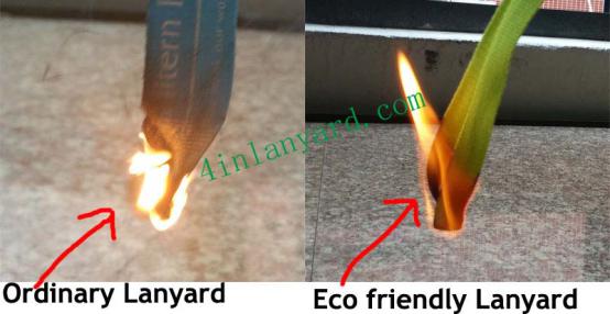 compare ordinary and Eco Friendly